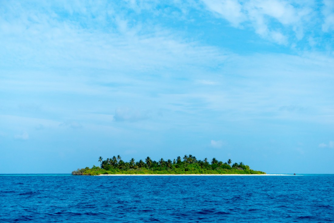 25885419702_3ca3759af2_o