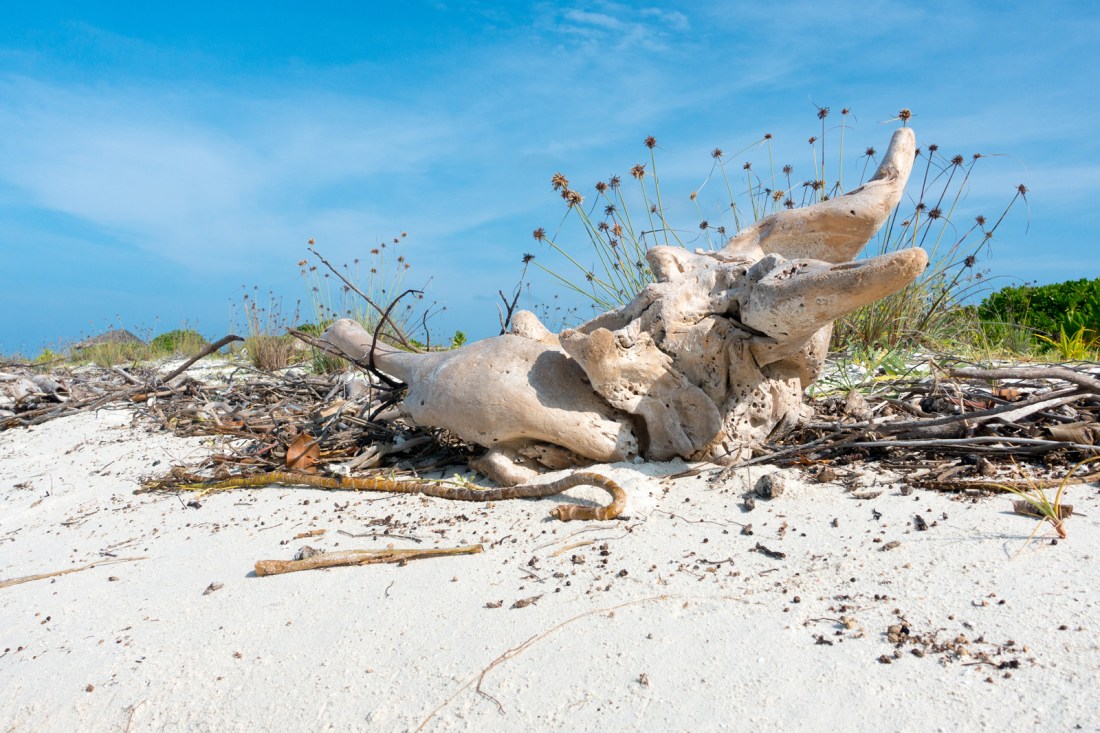 25885447442_df1cfbae42_o