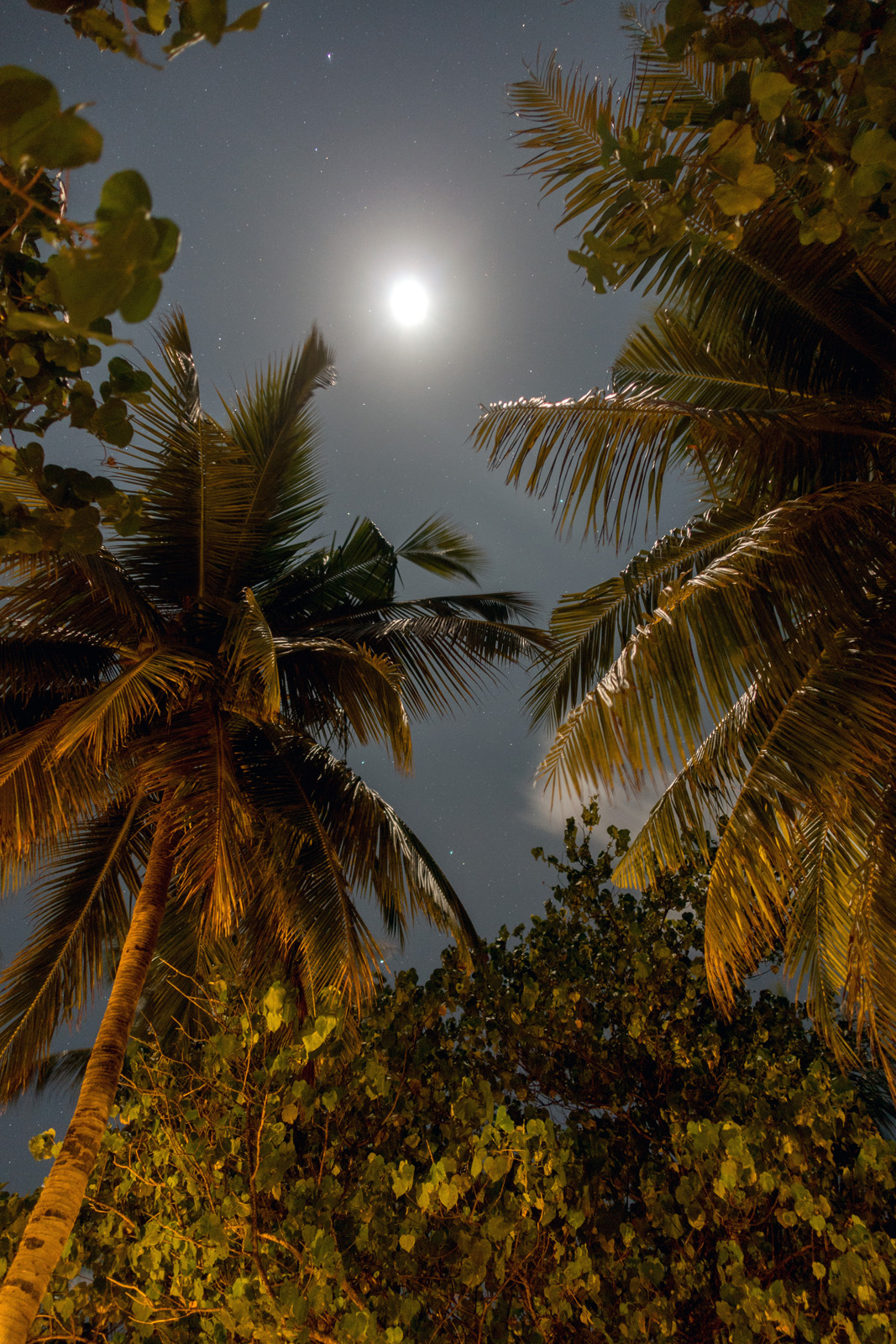 25911276361_e58923be99_o