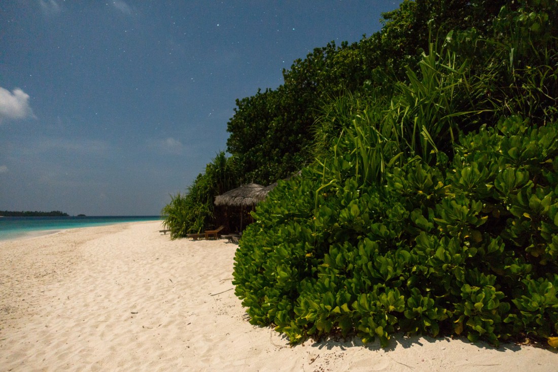 25980308596_ed346d9f36_o