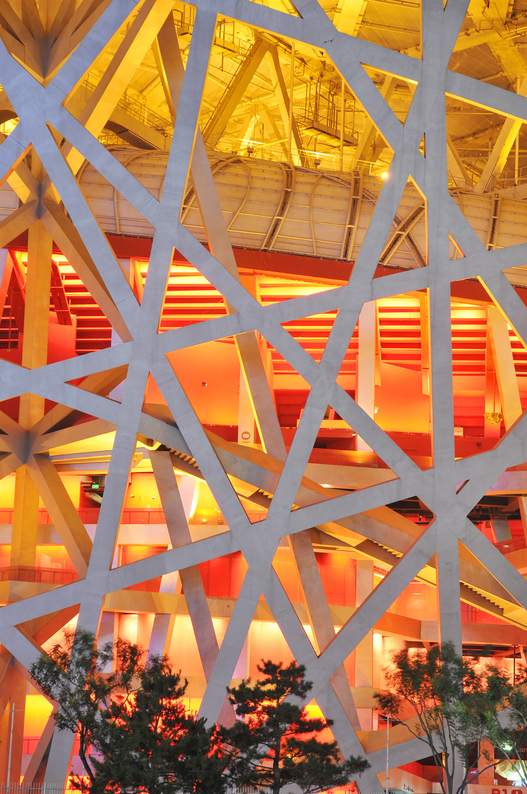 3989888639_6fab15c96c_o