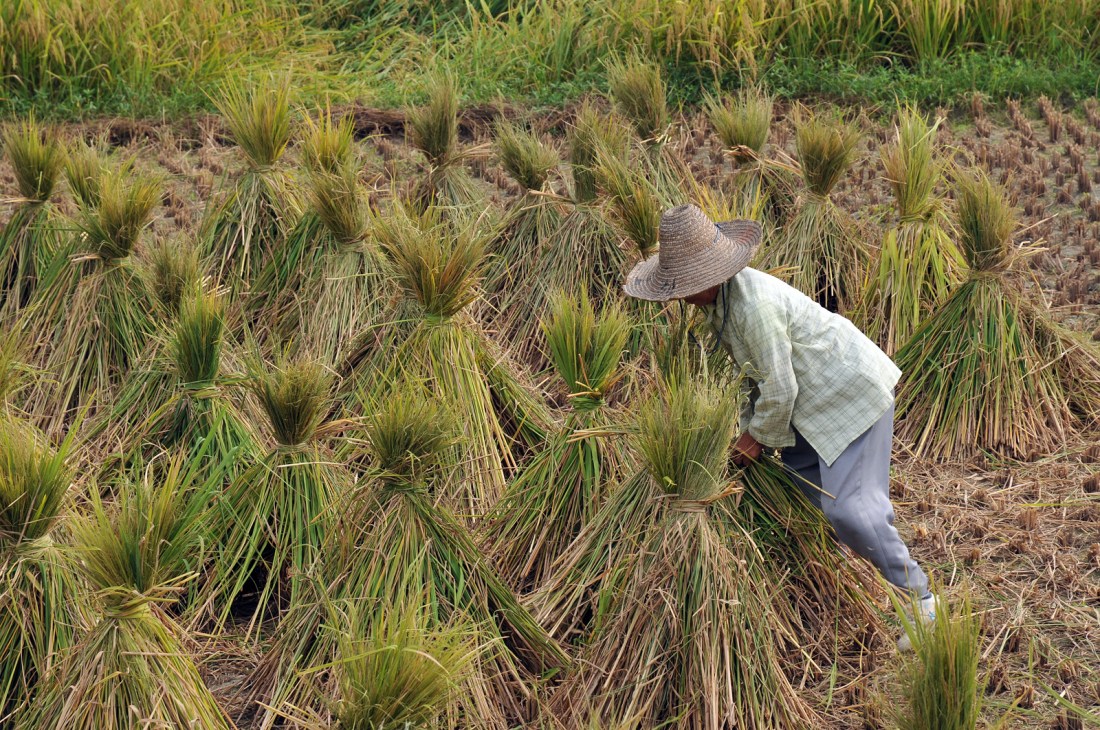 3990710954_e32f69d98b_o