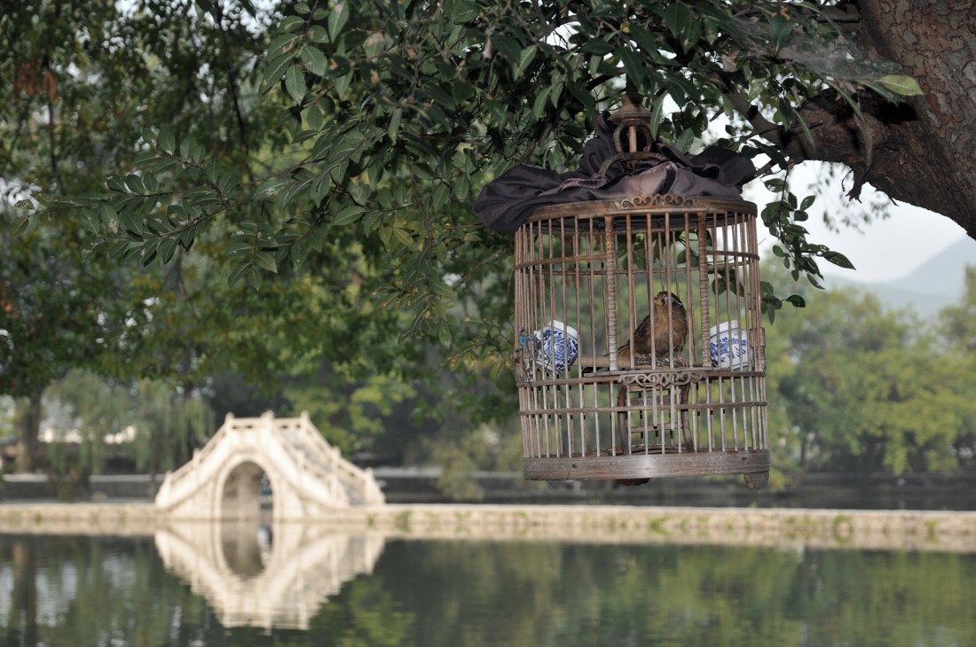 4034964464_98c0a57524_o