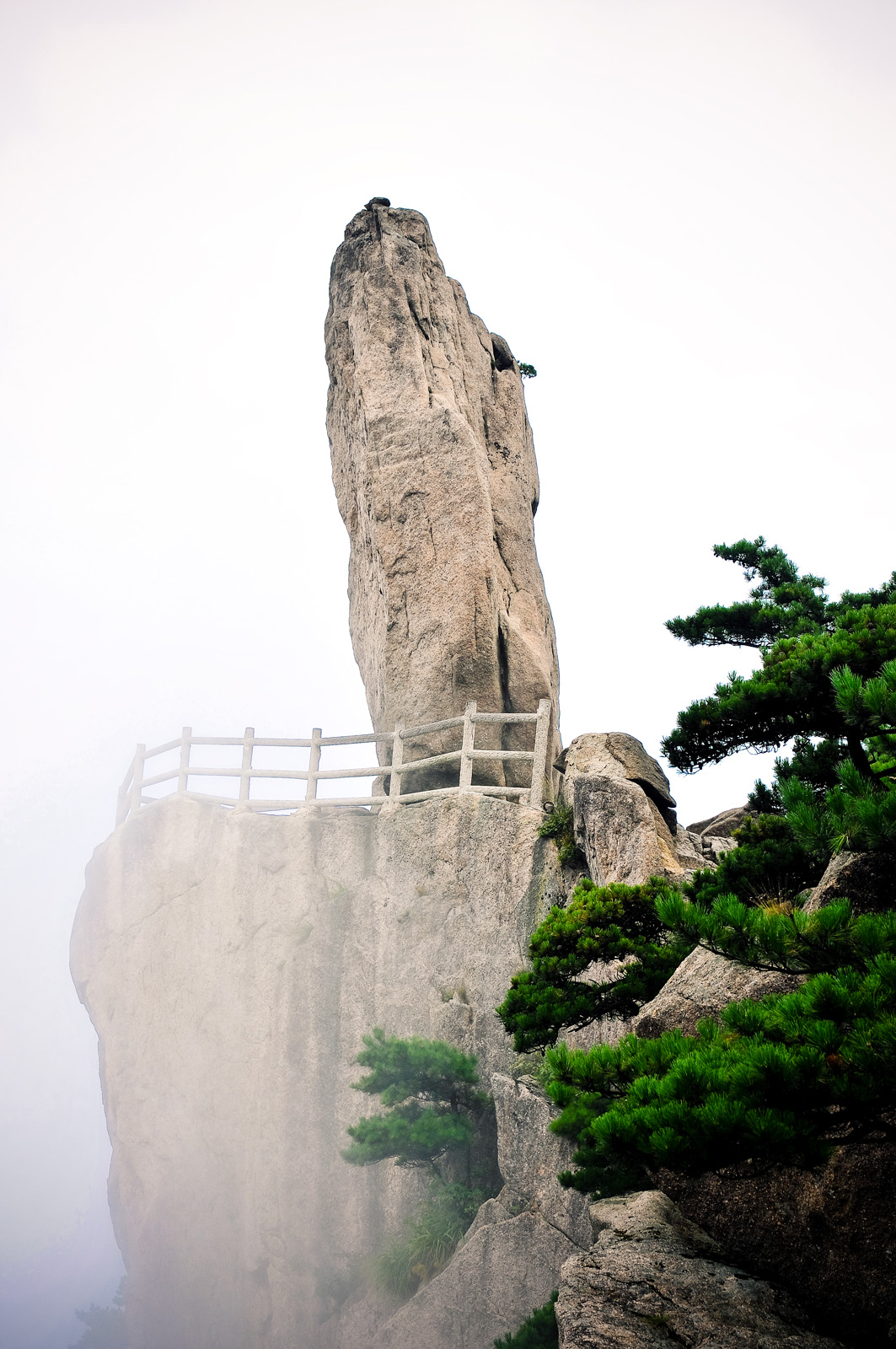 4308830181_1a894e4506_o