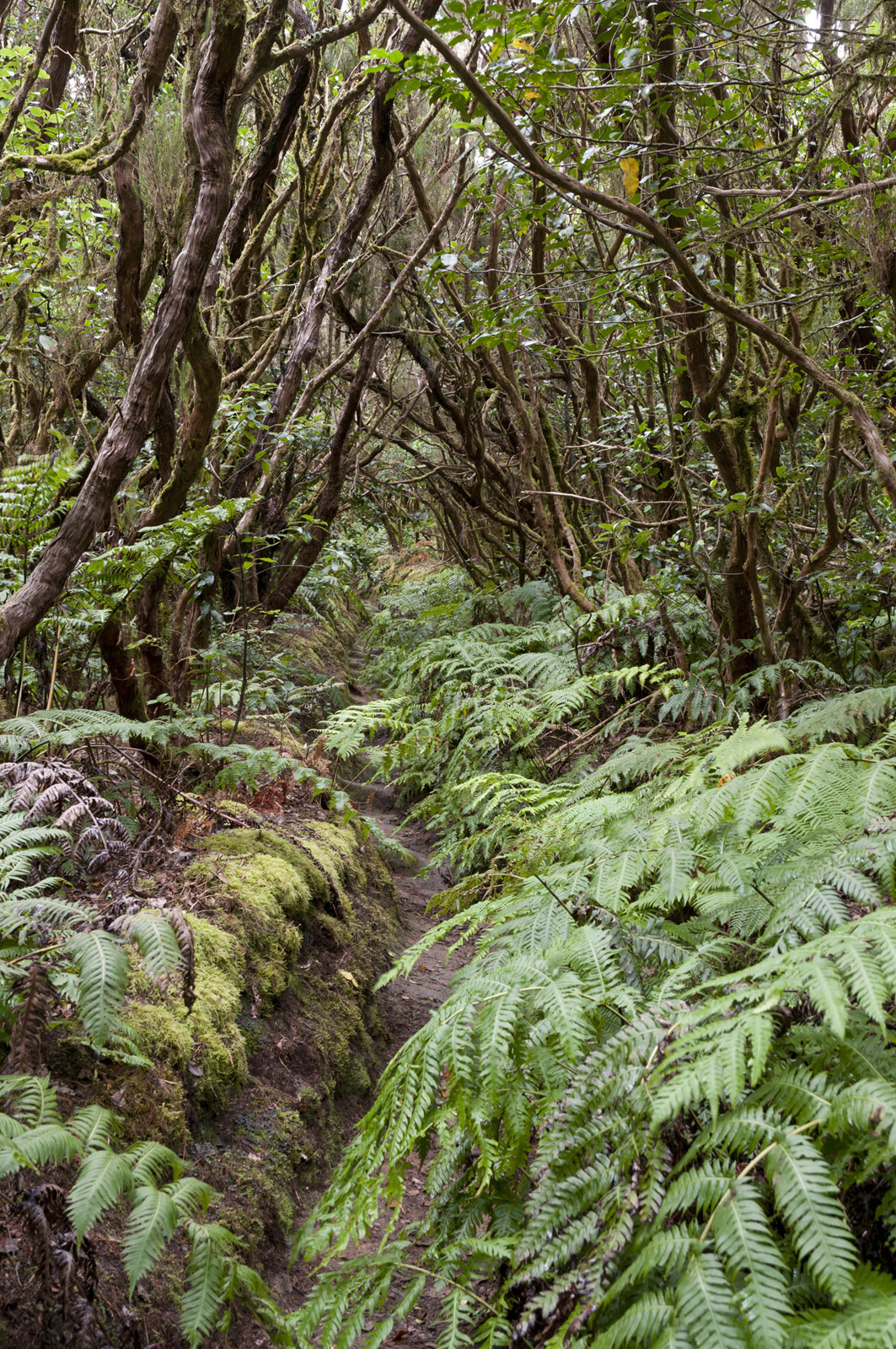 5563861993_c35e369c8a_o