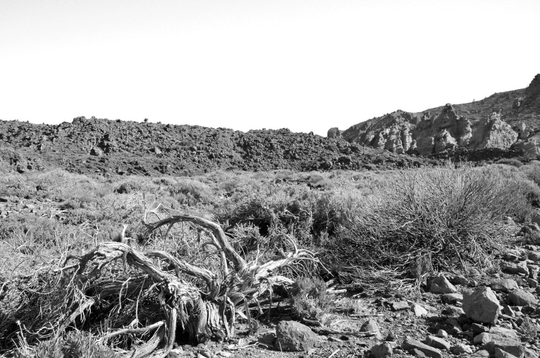 5563870803_a34823f711_o