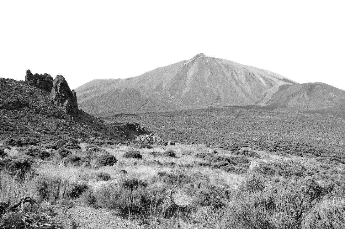 5563873899_6577544cc8_o