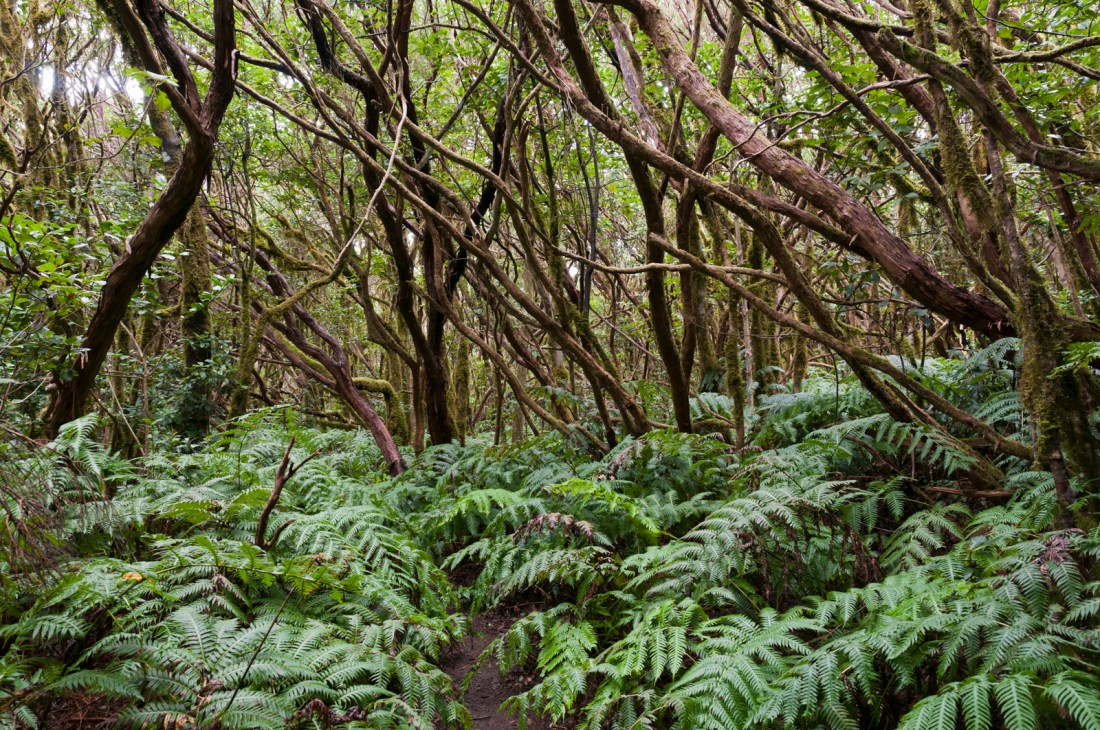 5564444238_560c038048_o