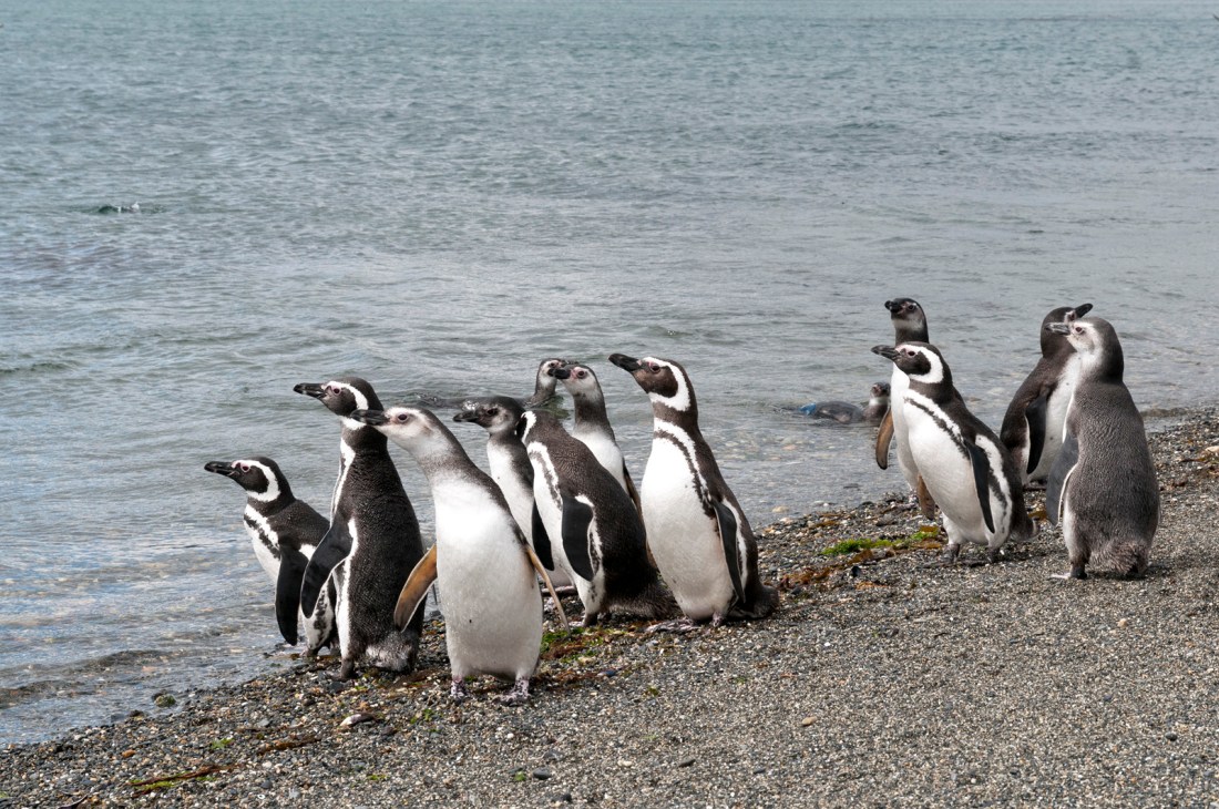 6786652452_a015ea7f96_o