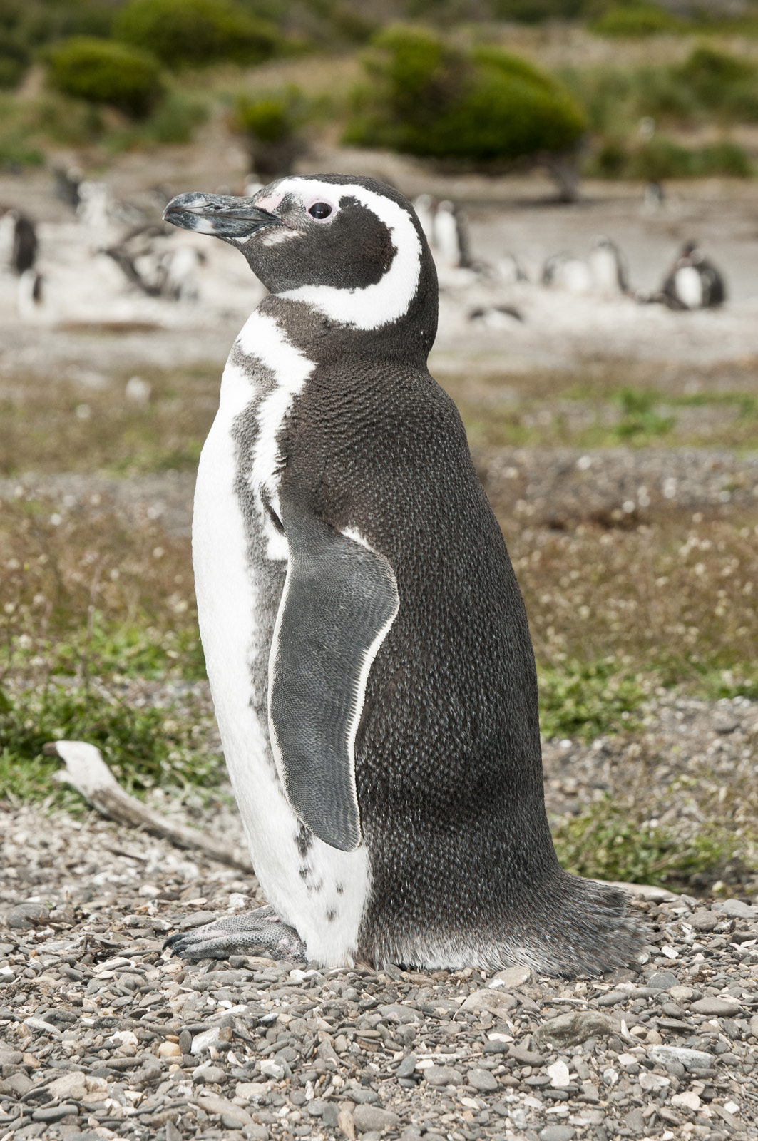 8834408420_7e8344a3da_o