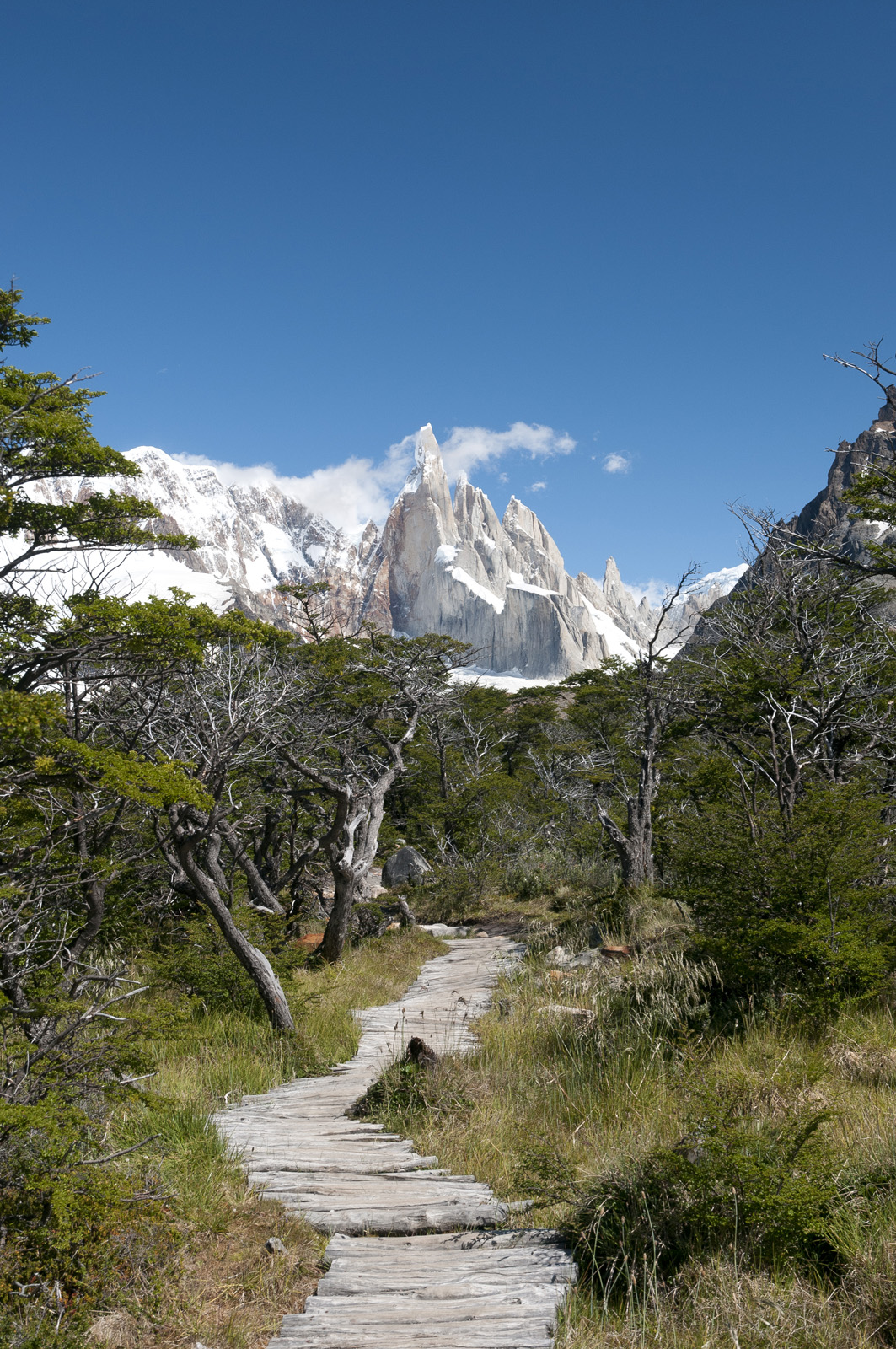 8834428666_cc15423bac_o